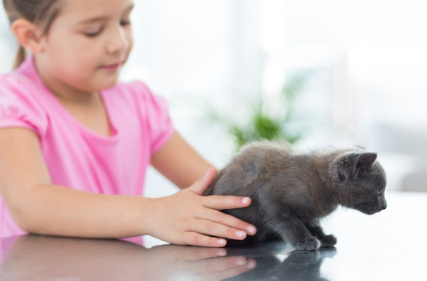 여자아이와 고양이.