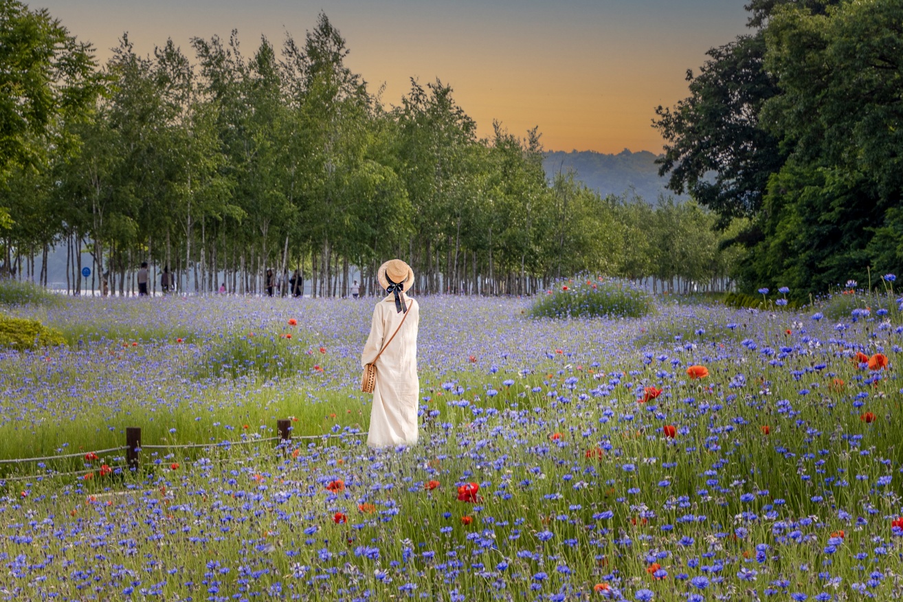 남양주 삼패 한강공원