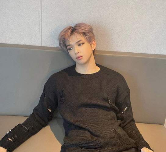 강다니엘 프로필