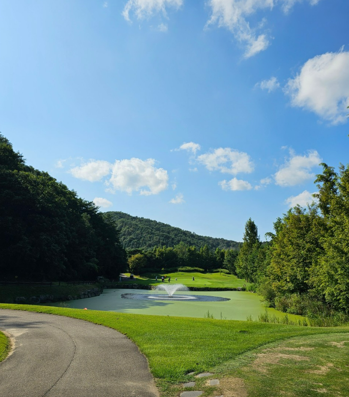 강원도 알프스대영CC 골프장 소개