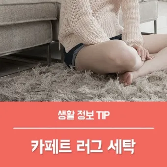 러그 세탁 드라이클리닝 표지 확인과 국소세척 요령_6