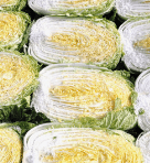 2023년 절임배추