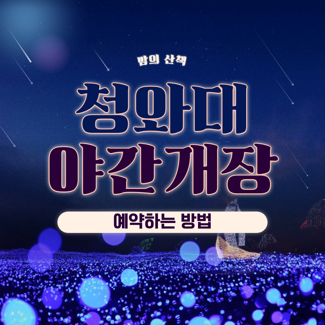 청와대 야간개장 섬네일