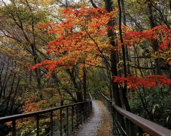 대둔산_6
