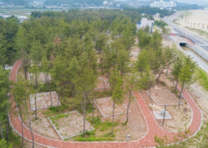 강원도 오토캠핑장