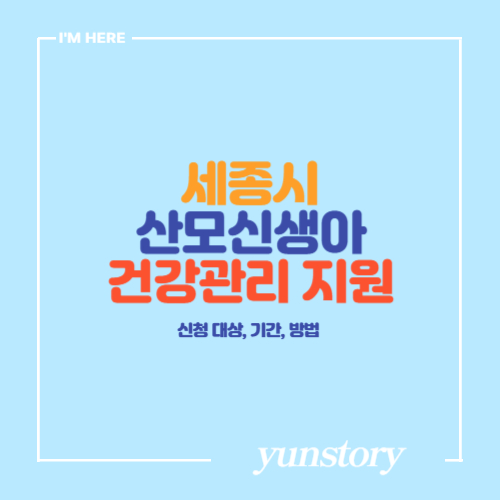 세종시 산모신생아 건강관리 지원정책