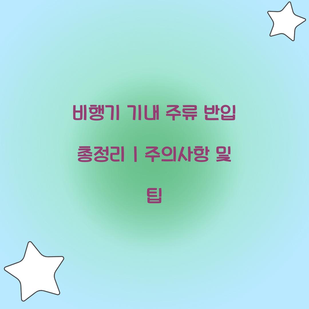 비행기 기내 주류 반입