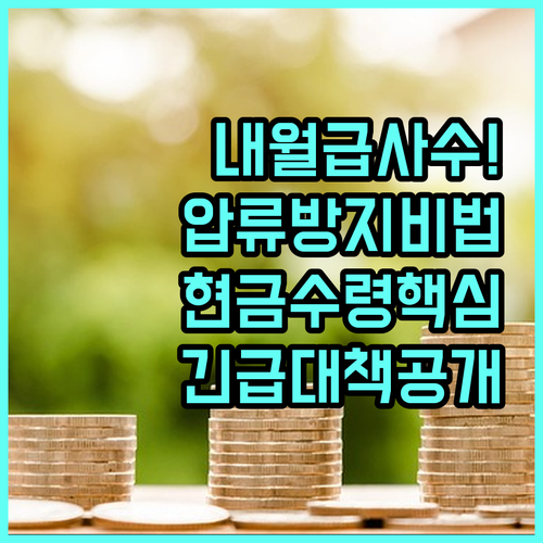다음 달 월급 압류 방지 대책 및 현..