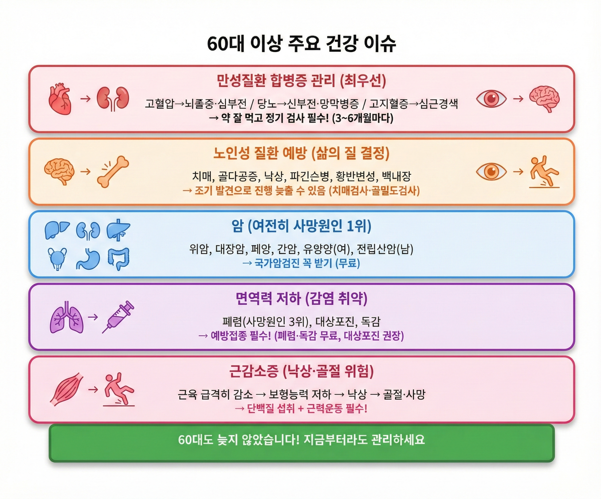 60대 이상 주요 건강 이슈