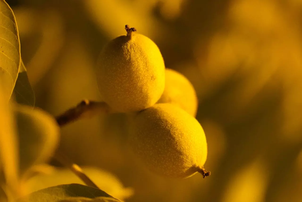 굴렁쇠와 사계절, 자연이 가르치는 삶의 리듬