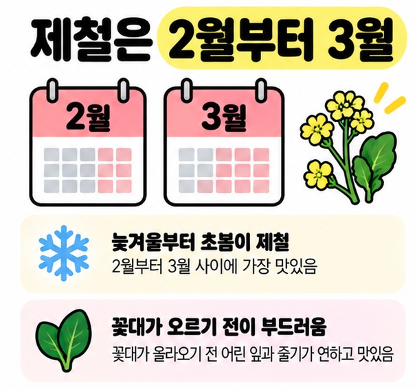 2월과 3월 달력에 어린 유채잎을 함께 배치해 제철 시기를 보여주는 카드