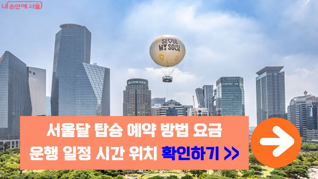 서울달-탑승-예약-방법-요금-운행-일정-시간-위치-확인하기