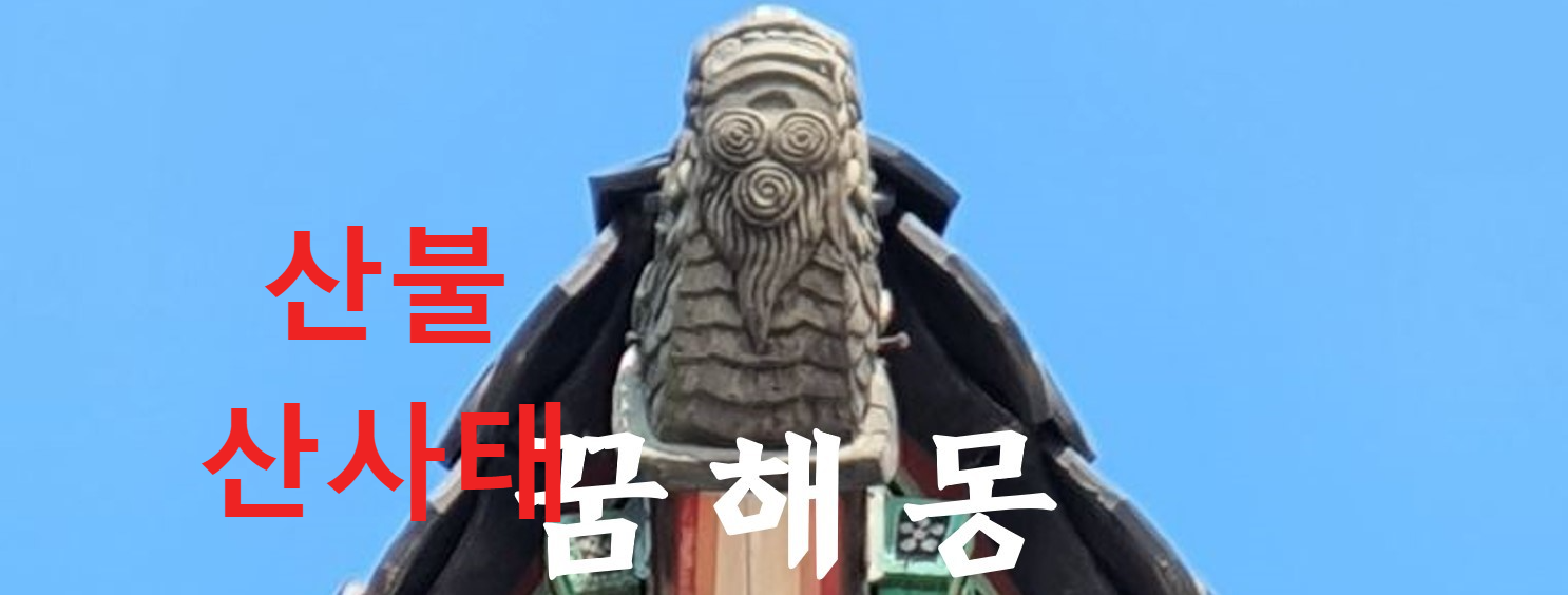 꿈해몽
