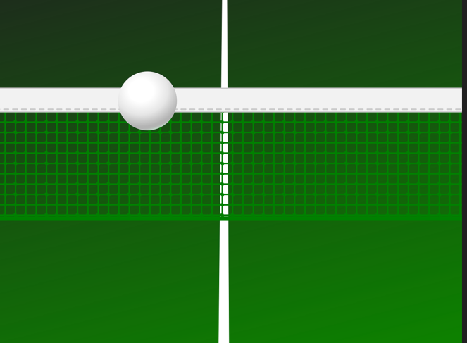탁구 네트 탁구 공