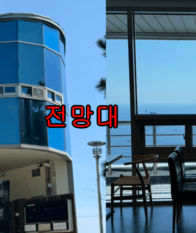 태종대 다누비열차 시간, 요금, 주차장