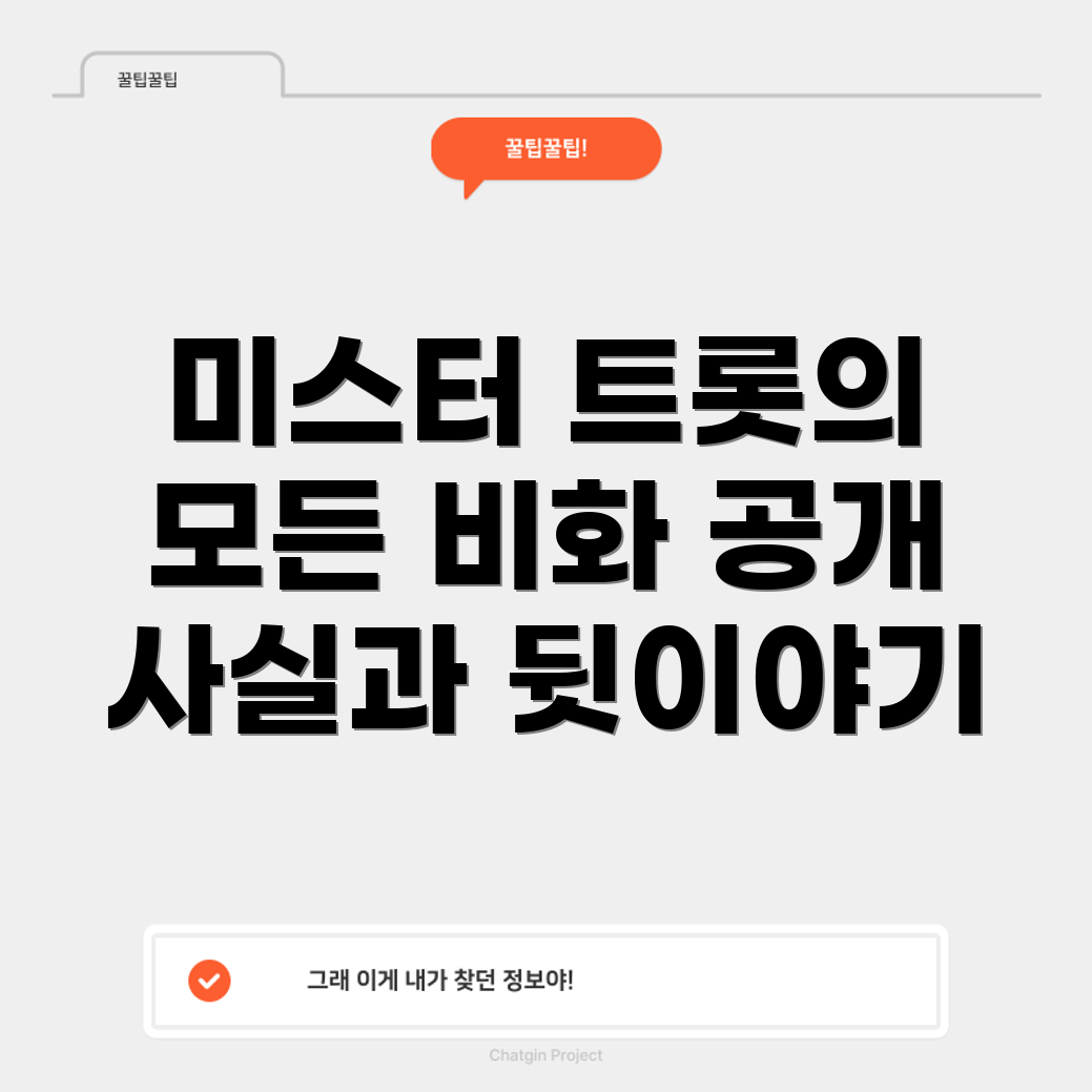 미스터 트롯 다큐멘터리