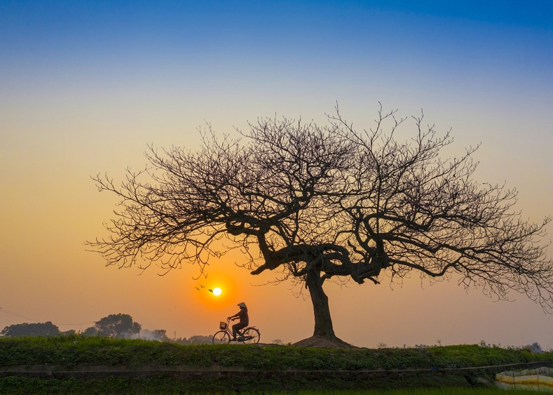자존감: 건강한 삶의 중심축