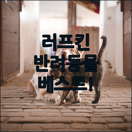 반려동물과 함께 떠나는 러프킨 여행 ..