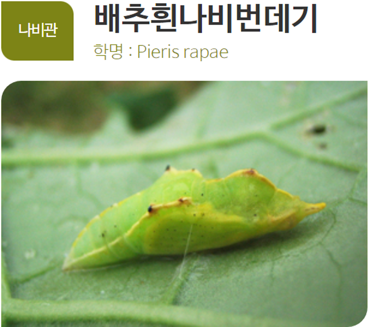 아산 생태곤충원