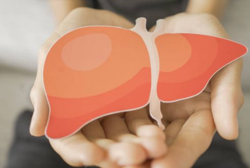 지방간 증상, 없애는 방법, 원인 총정리 (2024ver)