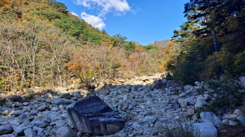 설악산_단풍여행_총정리
