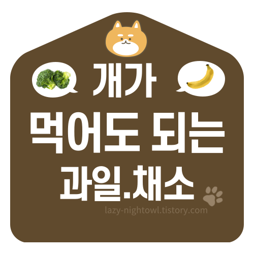 개가먹어도되는과일음식 썸네일