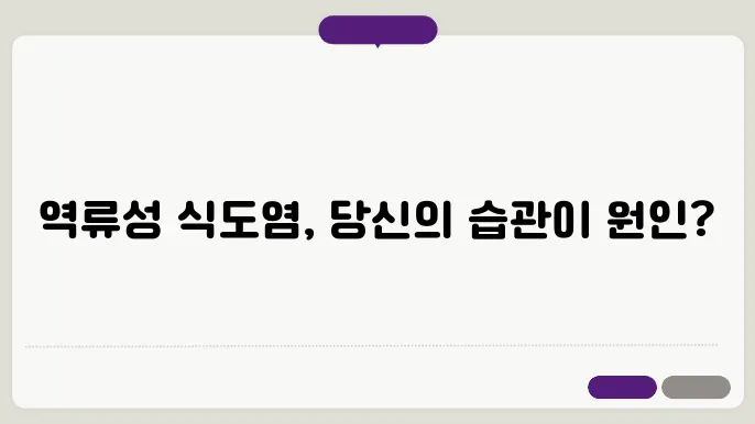 역류성 식도염 원인