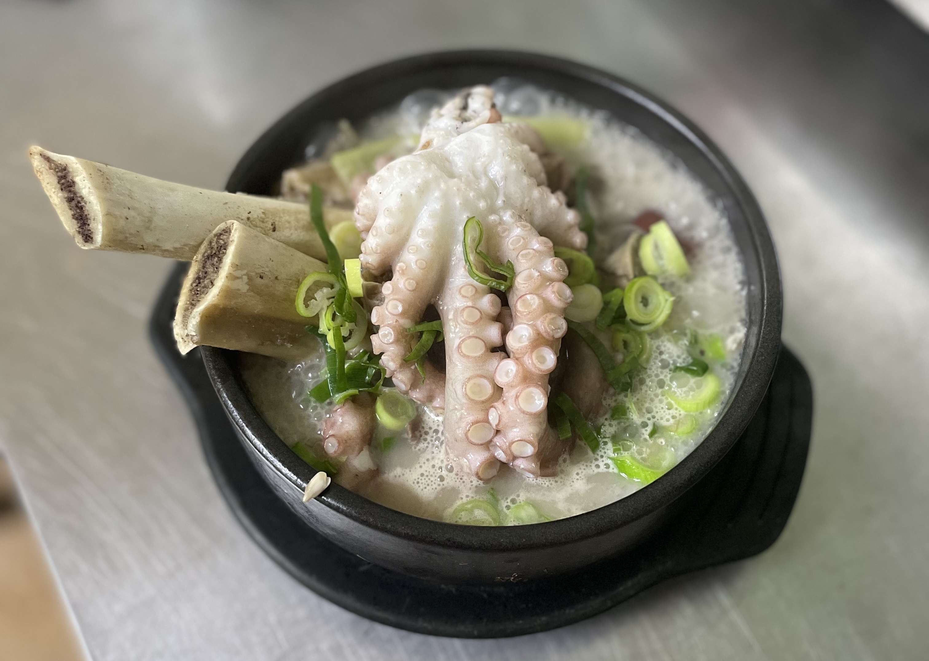 6시내고향 경북 영주 풍기인삼 엑스포 특집 전국 택배 가능 인삼 왕 갈비탕 맛집 추천