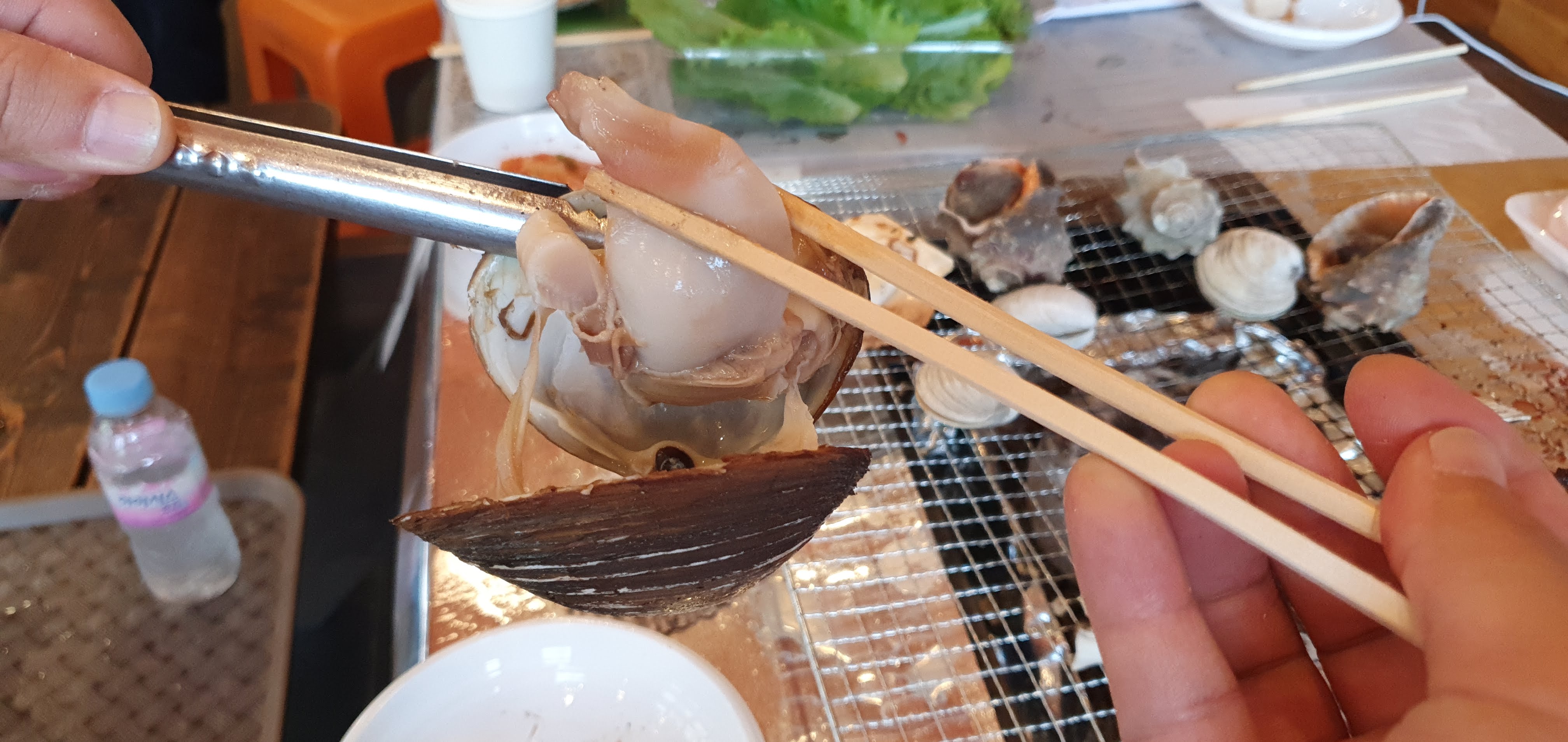 14. 2022보령머드축제 가족여행