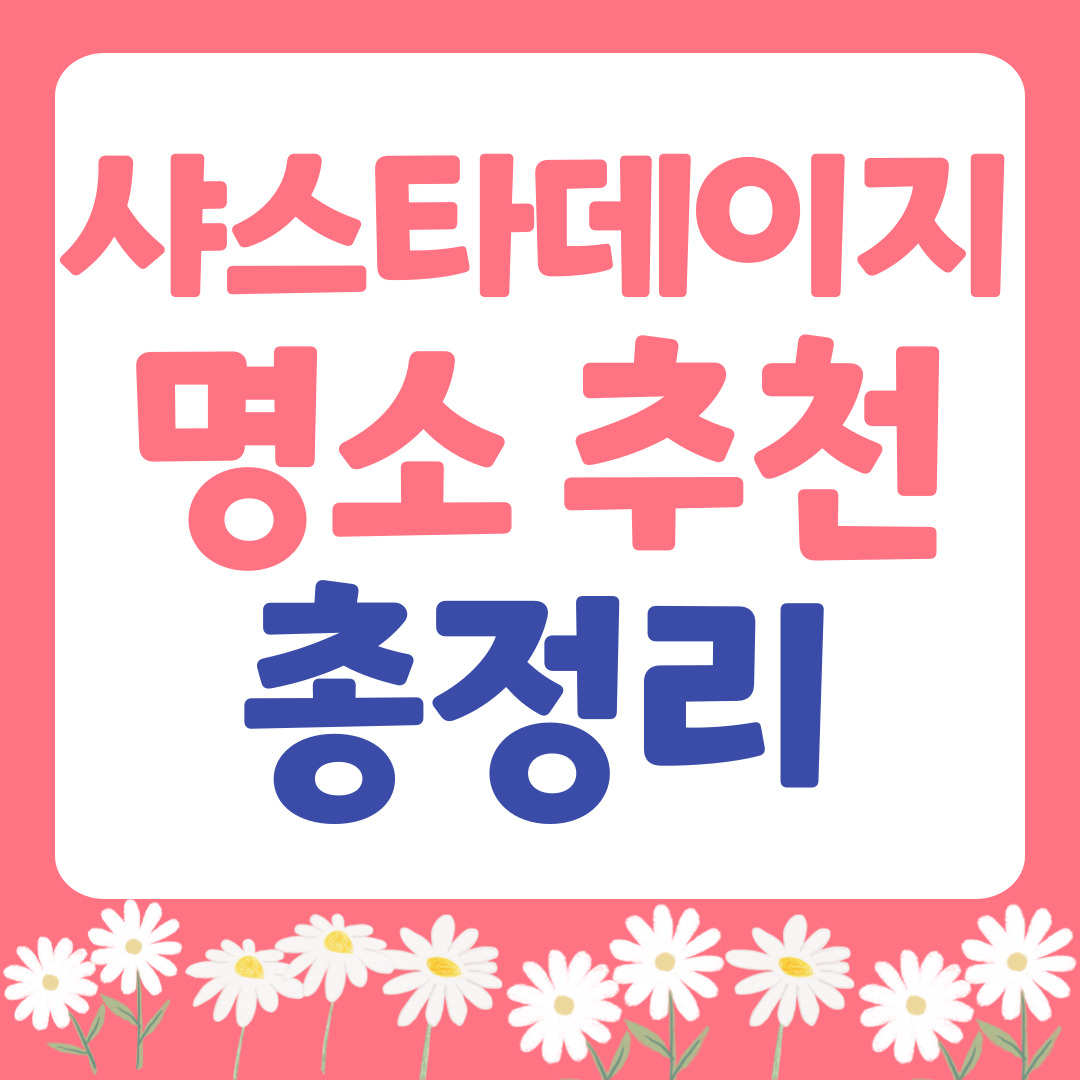 샤스타데이지 명소 총정리 관련사진