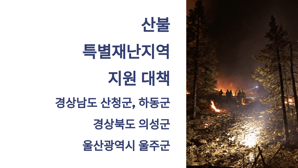 산불 특별재난지역 지원 대책