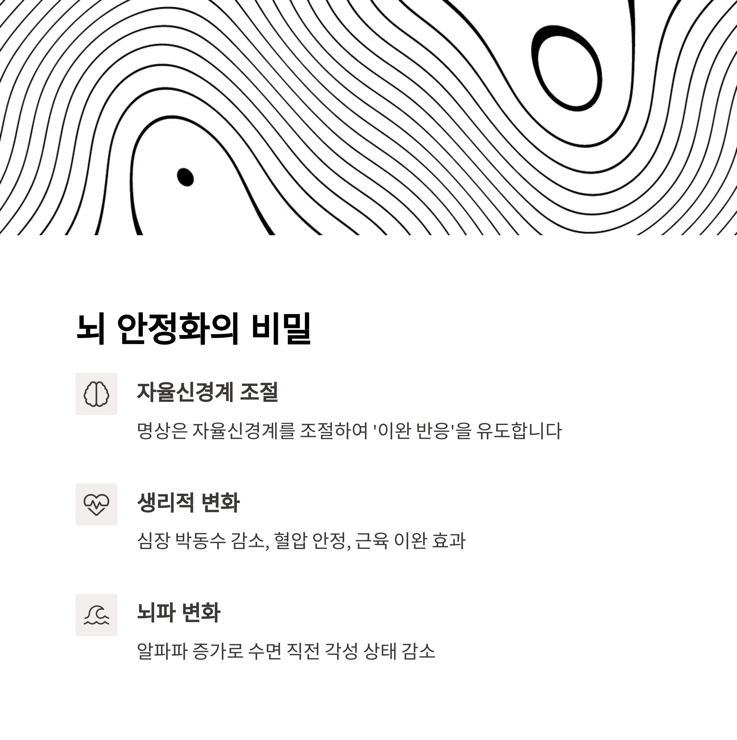 뇌 안정화의 비밀