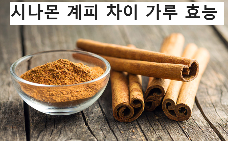 시나몬 계피 차이 시나몬 계피 가루 효능 시나몬 알레르기 섭취 주의사항