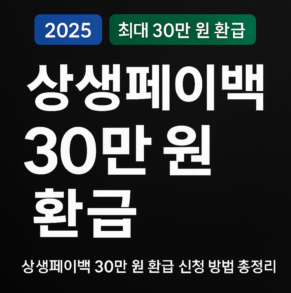 2025 상생페이백 30만 원 환급 총정리