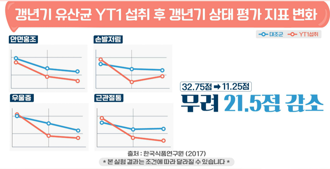갱년기 유산균 YT1 효능