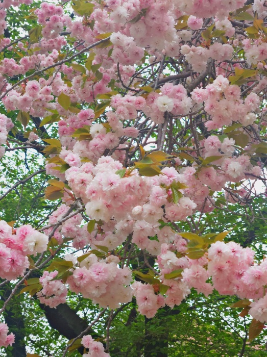 미래에셋 ISA 만기이전 방법