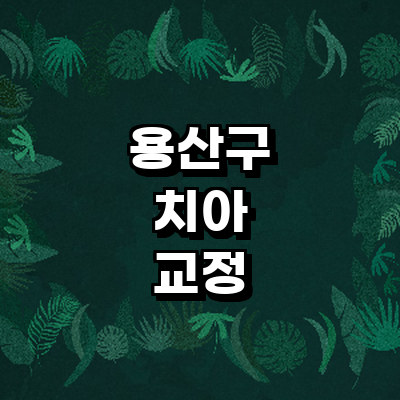 서울 용산구 교정 치과