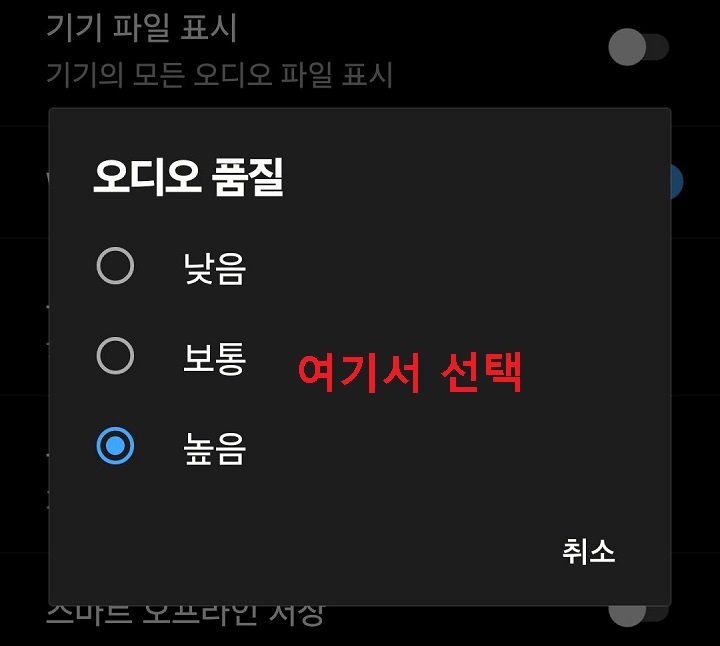 오디오 품질 선택 창 보임