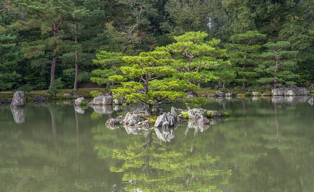 송화가루 날리는 시기&amp;#44; 언제까지? 송화가루 지수 확인 및 대처법