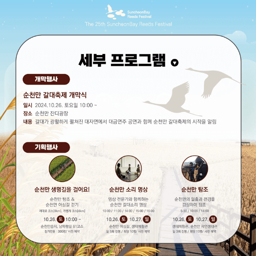 순천만 갈대 축제