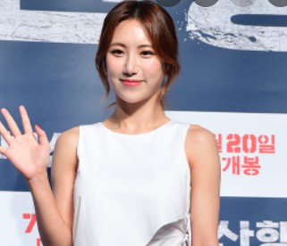 예정화