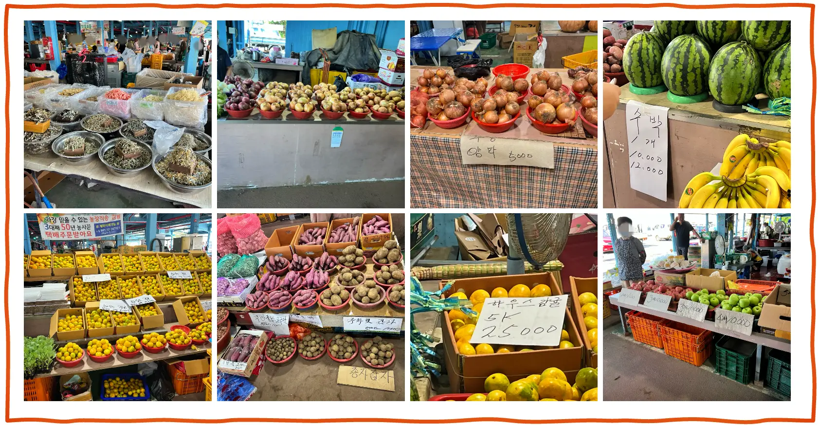 표선 오일 시장에서 판매하고 있는 주요 과일 사진 입니다.