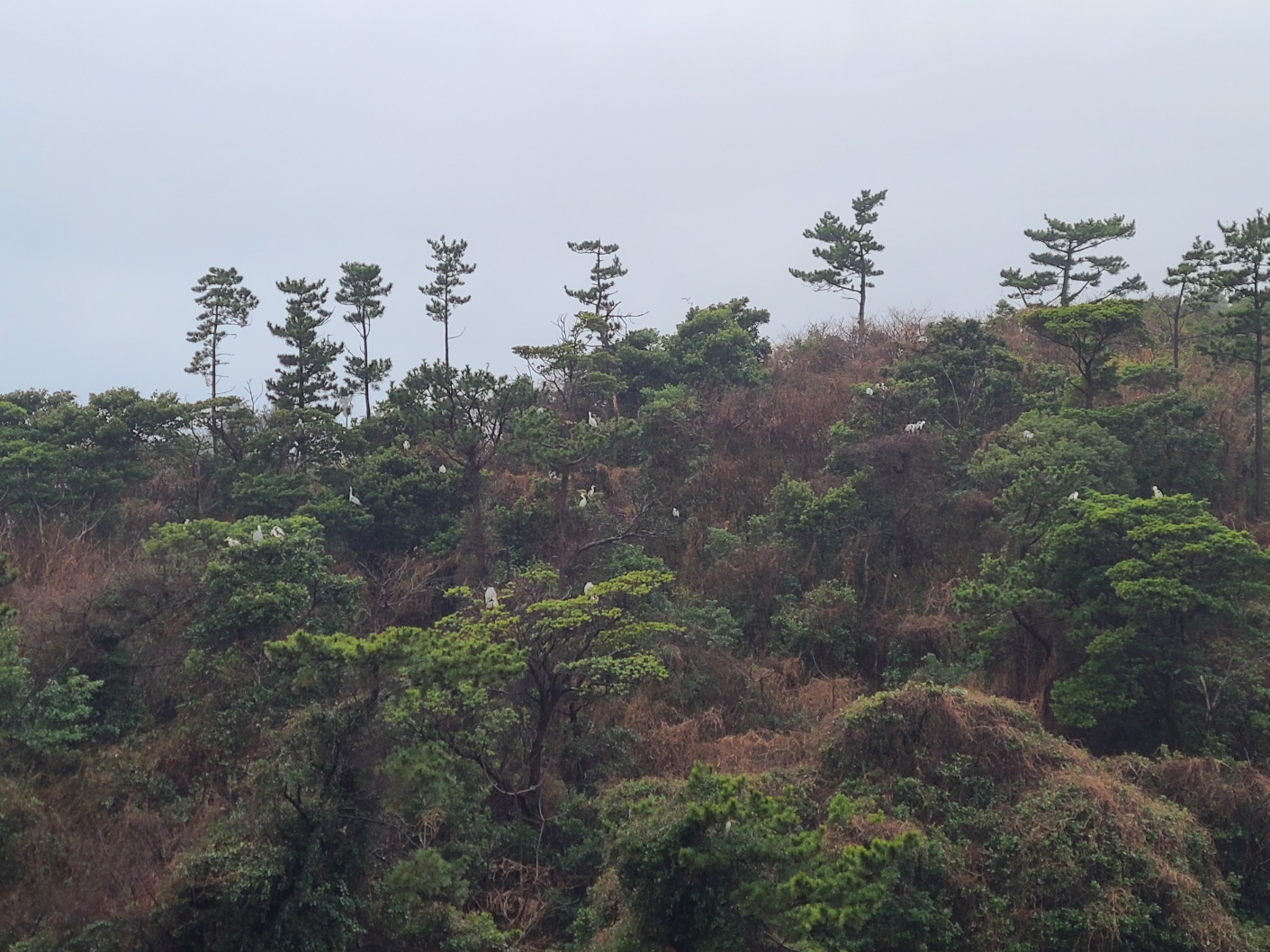제주 여행 파르나스 호텔 제주
