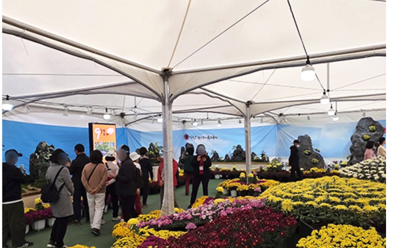 익산 천만송이 국화축제 주차 팁 및 무료 셔틀버스&middot;추천 관람 동선 총정리