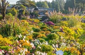 파주 벽초지수목원 완벽 가이드: 드라마 촬영지에서 만나는 사계절 포토존 천국