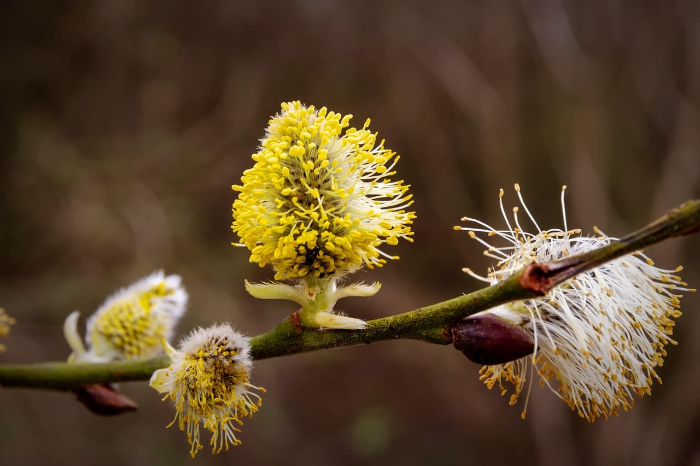 슬로 패션 브랜드를 선택할 때 고려해야 할 5가지 기준