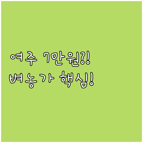 여주시 2025 벼 재배 농가 소득 ..