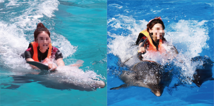 거제 씨월드 체험