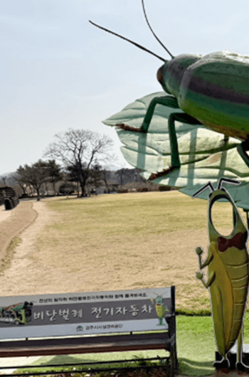 경주 비단벌레차 예약