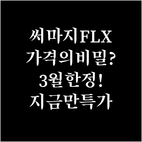 써마지 FLX 시술 가격 결정 요인 ..